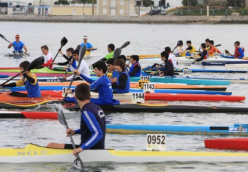 Baía do Seixal vai ser invadida por mais de 300 canoas