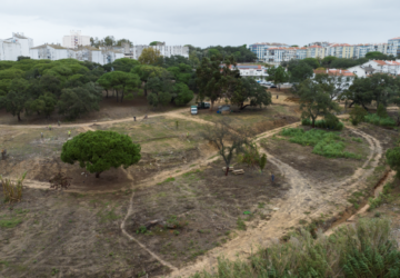 Horta comunitária na Quinta da Princesa ganha mais 10 hectares