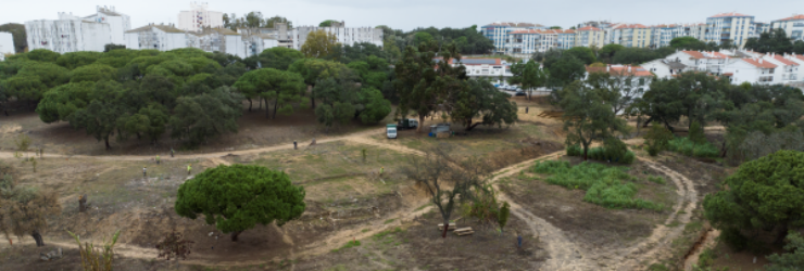 Horta comunitária na Quinta da Princesa ganha mais 10 hectares