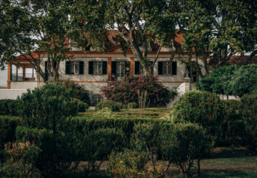 Season Market regressa à Quinta da Fidalga com animação para toda a família