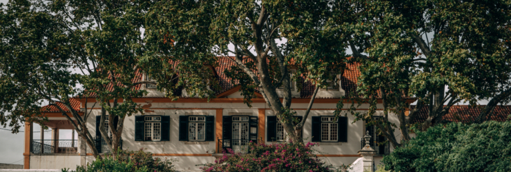 Season Market regressa à Quinta da Fidalga com animação para toda a família